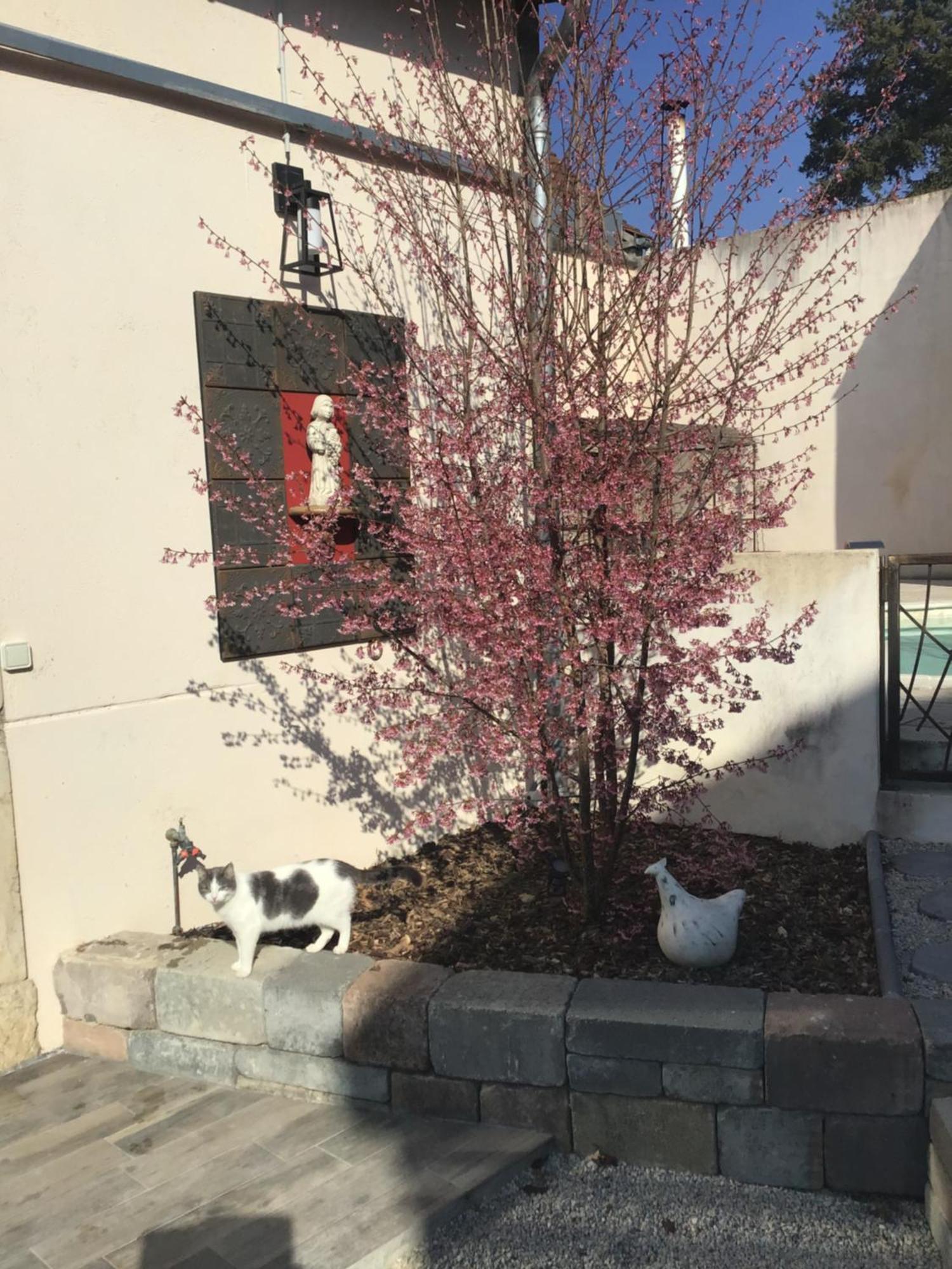 Ma Maison Beaune  Luaran gambar